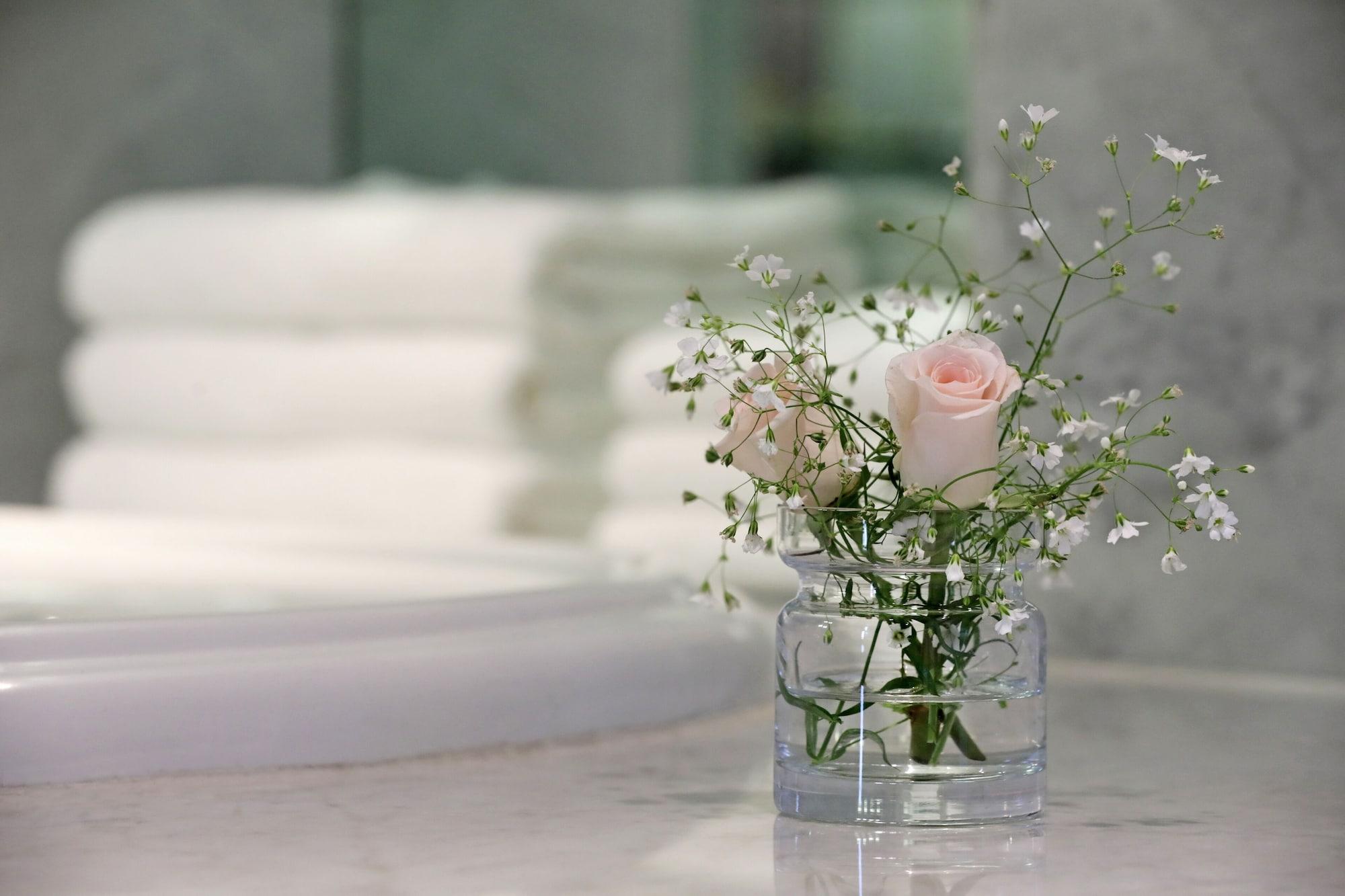 فندق بارك حياة ميندوزا، كازينو آند سبا المظهر الخارجي الصورة Gypsophila paniculata