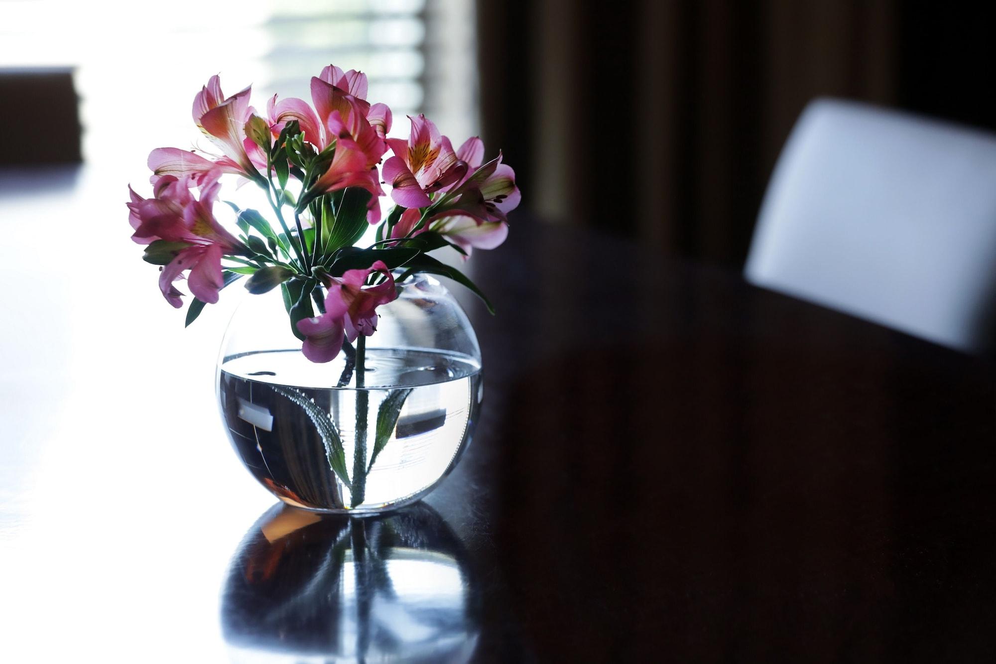 فندق بارك حياة ميندوزا، كازينو آند سبا المظهر الخارجي الصورة A flower vase
