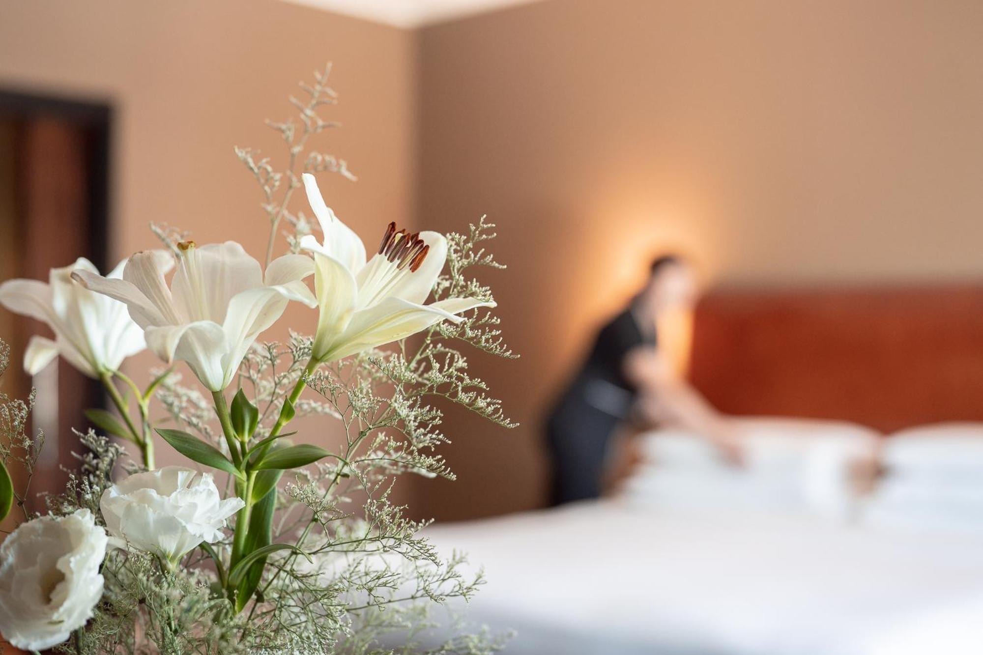 فندق بارك حياة ميندوزا، كازينو آند سبا المظهر الخارجي الصورة A room at the hotel